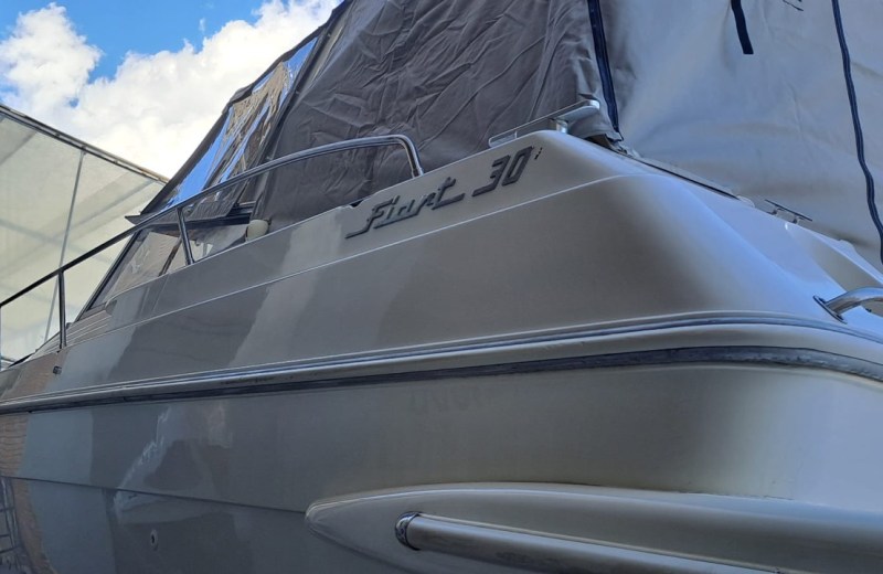 Fiart 30 – 2x Volvo Penta 231 CV Diesel - dettaglio